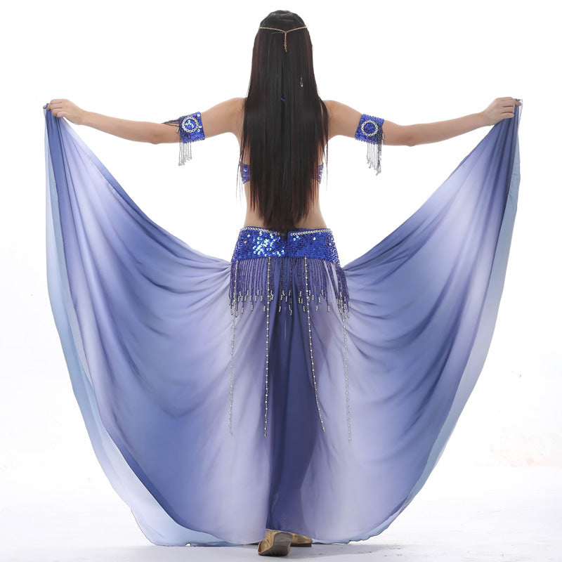 Color Change Skirt Suit Belly Dance Suit Popular Belly Dance Performance Suit Belly Dance Costume