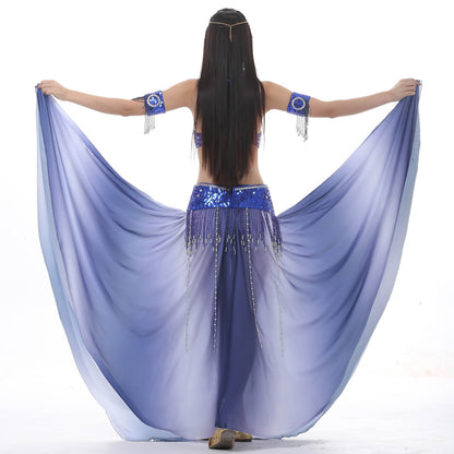 Color Change Skirt Suit Belly Dance Suit Popular Belly Dance Performance Suit Belly Dance Costume